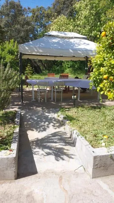 Casa Immersa Nella Campagna Aggius Holiday home