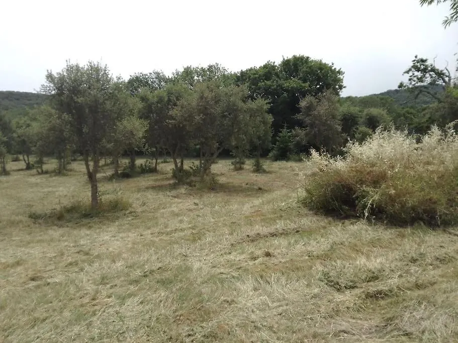 Casa Immersa Nella Campagna Aggius Holiday home